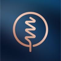 Razor Capital