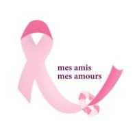 mes amis mes amours association