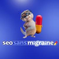 SEO Sans Migraine ® 💊