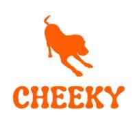 CheekyDogToys