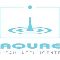 Aquae Environment