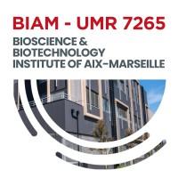 BIAM - Institut de Biosciences & biotechnologies d'Aix-Marseille