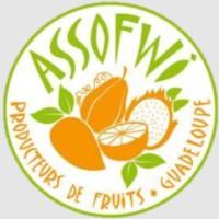 ASSOFWI ASSO