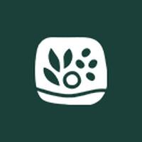 Cédrat - Cabinet de conseil & studio de production