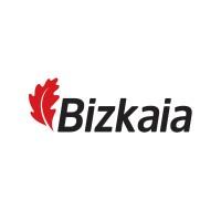 Bizkaiko Foru Aldundia / Diputación Foral de Bizkaia