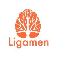 Ligamen, technologie des Arbres de Talents, cartographie mobilisatrice de vos capacités collectives.