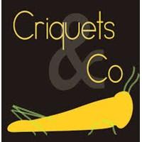 Criquets and Co