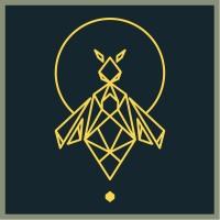 Erine-Transition 🐝🌻🌍