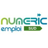 Numéric'emploi Sud