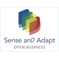 Sense and Adapt Academy: Consulting, Education, Transformation: Adaptive Business and Cultures.