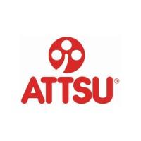 Calderas industriales ATTSU