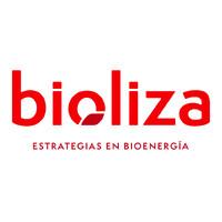 BIOLIZA | Bioenergy strategies