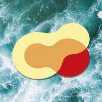 REMEDEX