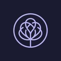 Mulberry Care Homes