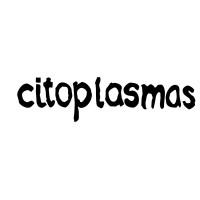 Citoplasmas Stop Motion Studio