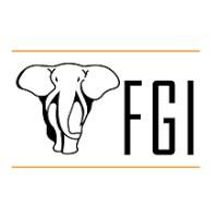 FGI