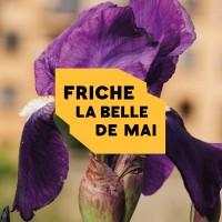 Friche la Belle de Mai