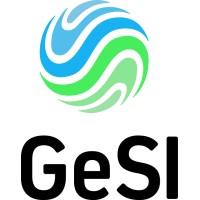 Global Enabling Sustainability Initiative (GeSI)