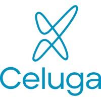 Celuga, Expert de développement de solutions innovantes web