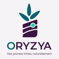 ORYZYA