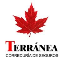 Terránea Correduría de Seguros