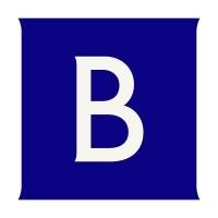 Brunswick Investor Brand