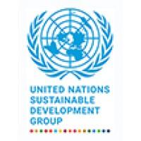 UN Sustainable Development Group