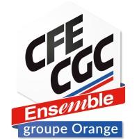 CFE-CGC Orange