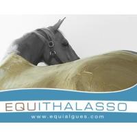 Equithalasso