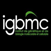 IGBMC