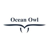 Ocean Owl