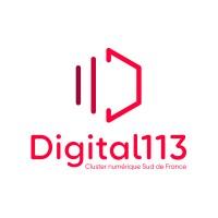 Digital 113