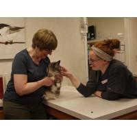 Stow Kent Animal Hospital, Inc.