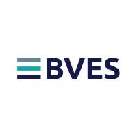 BVES Energy Storage Systems Association