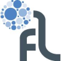 Flink Labs