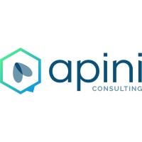 Apini Consulting