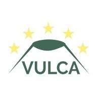 VULCA NGO