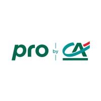 Pro by CA