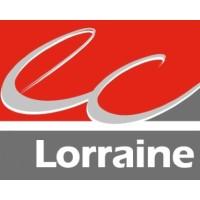 Conseil Régional de l'Ordre des Experts-Comptables de Lorraine