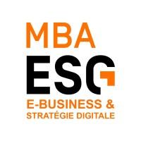 MBA ESG E-Business & Digital strategy