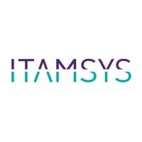 ITAMSYS