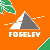 Groupe FOSELEV