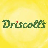 Driscoll's UK