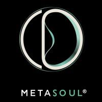 MetaSoul INC