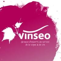 VINSEO , French Vine & Wine suppliers
