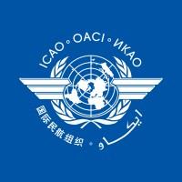International Civil Aviation Organization